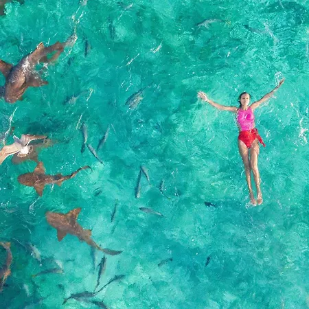 Reef Haven Belize-2